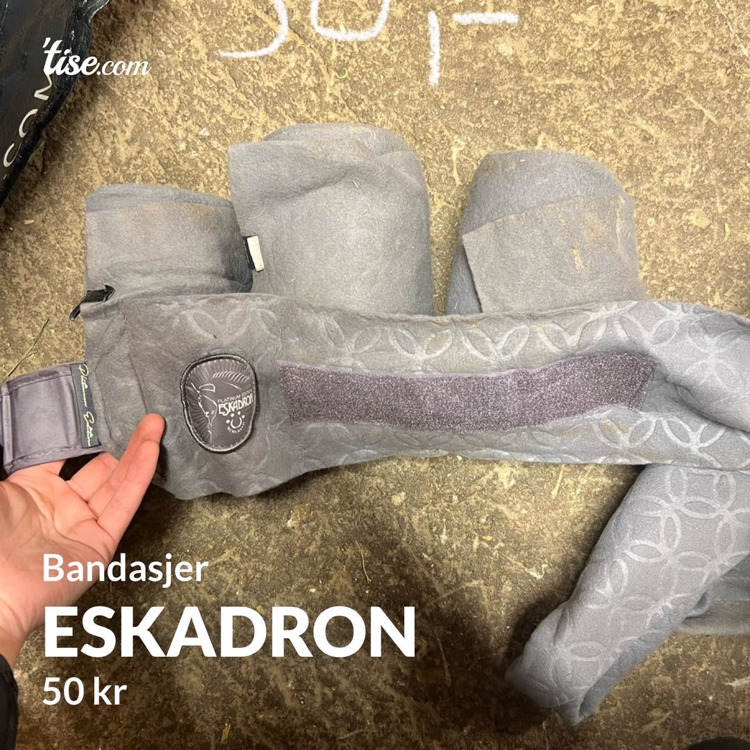 Eskadron