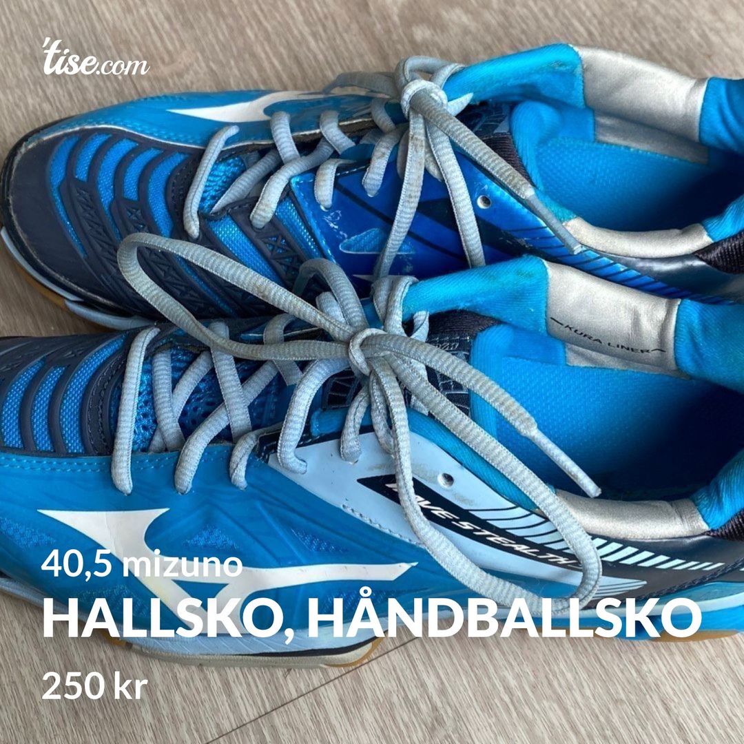 Hallsko håndballsko