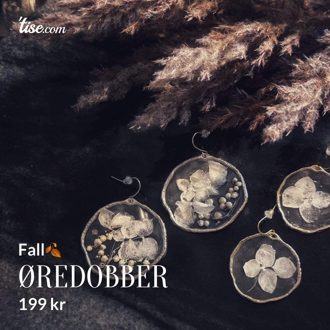 Øredobber