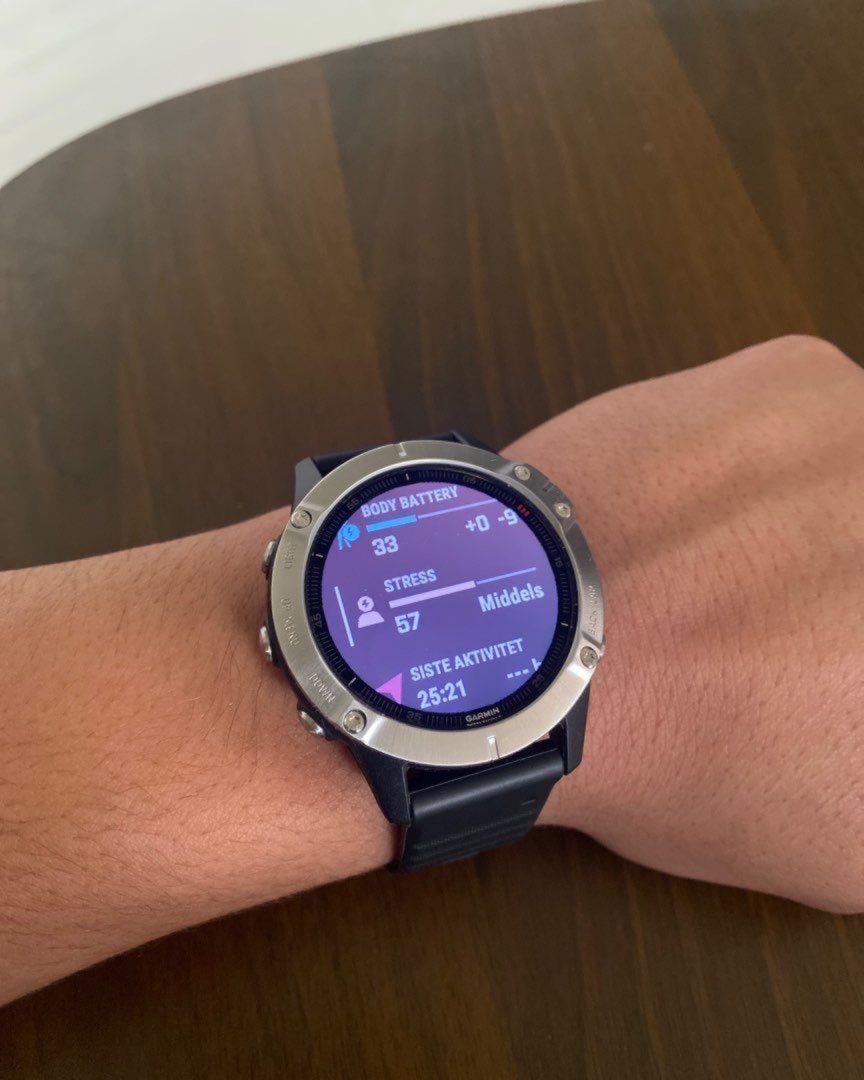 Garmin Fenix 6