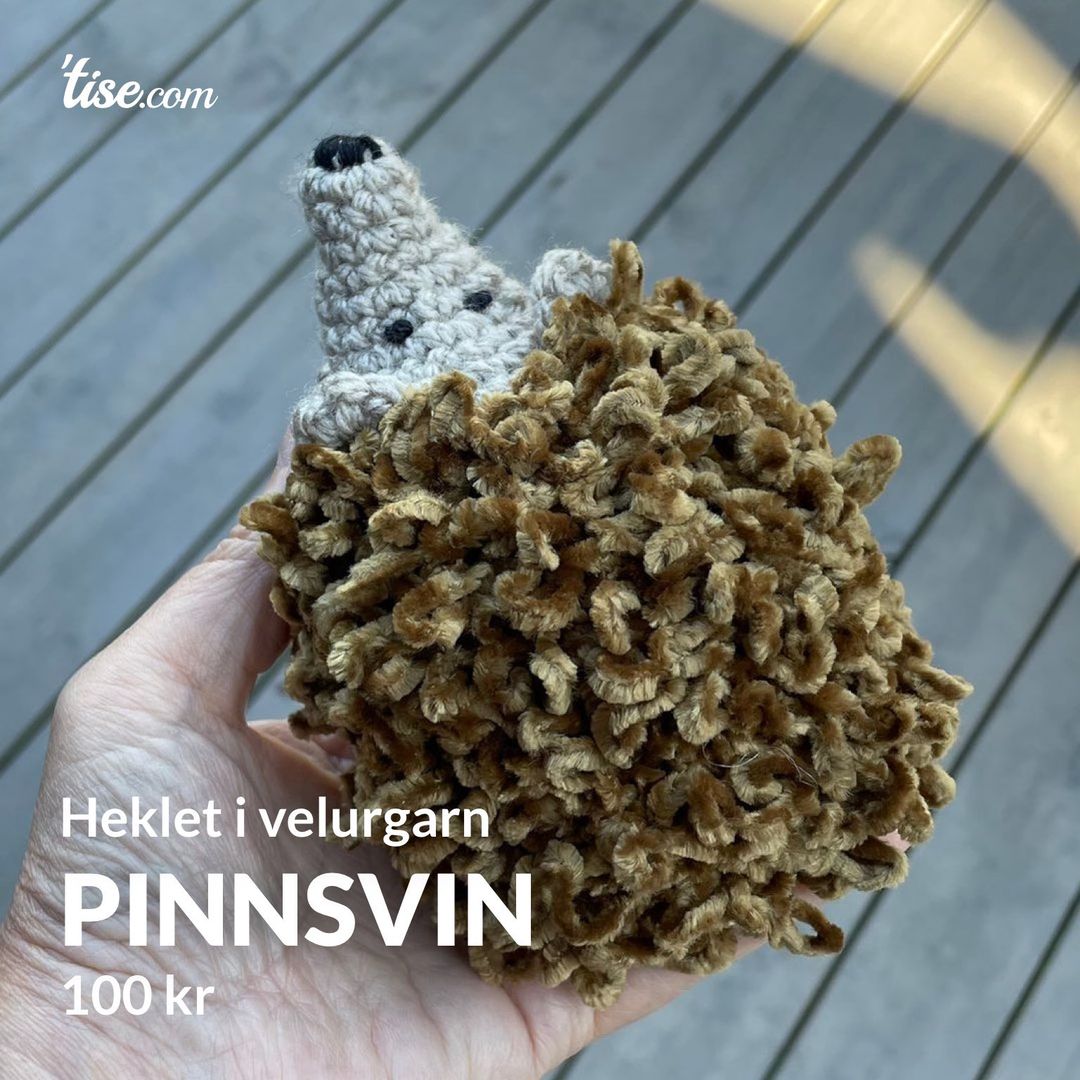 Pinnsvin