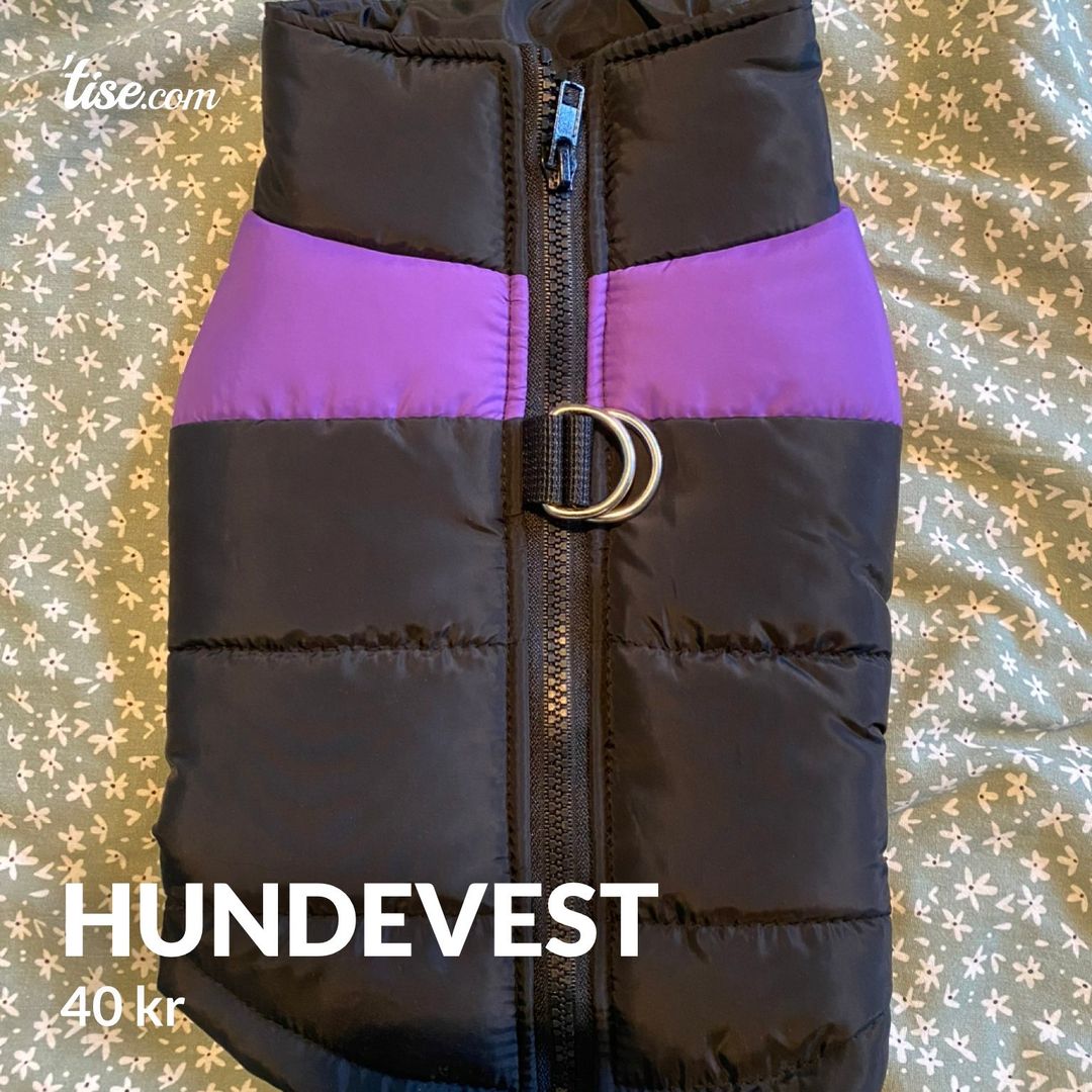 Hundevest