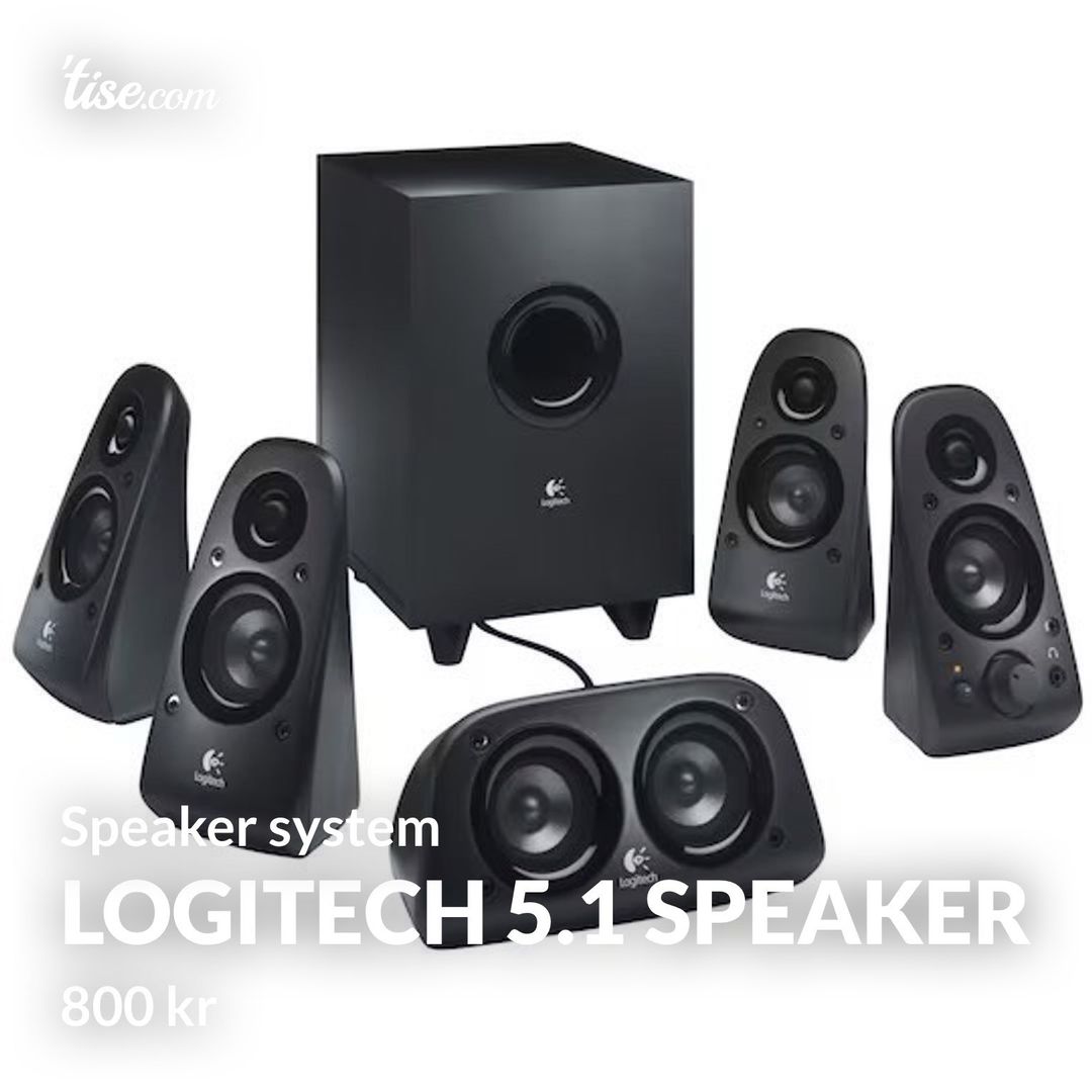 Logitech 51 Speaker