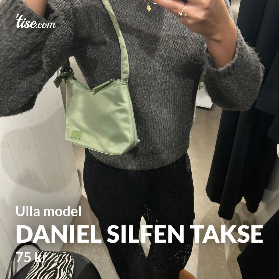 Daniel Silfen takse