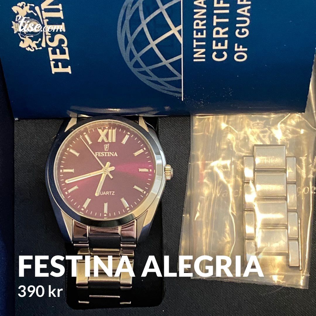 Festina Alegria