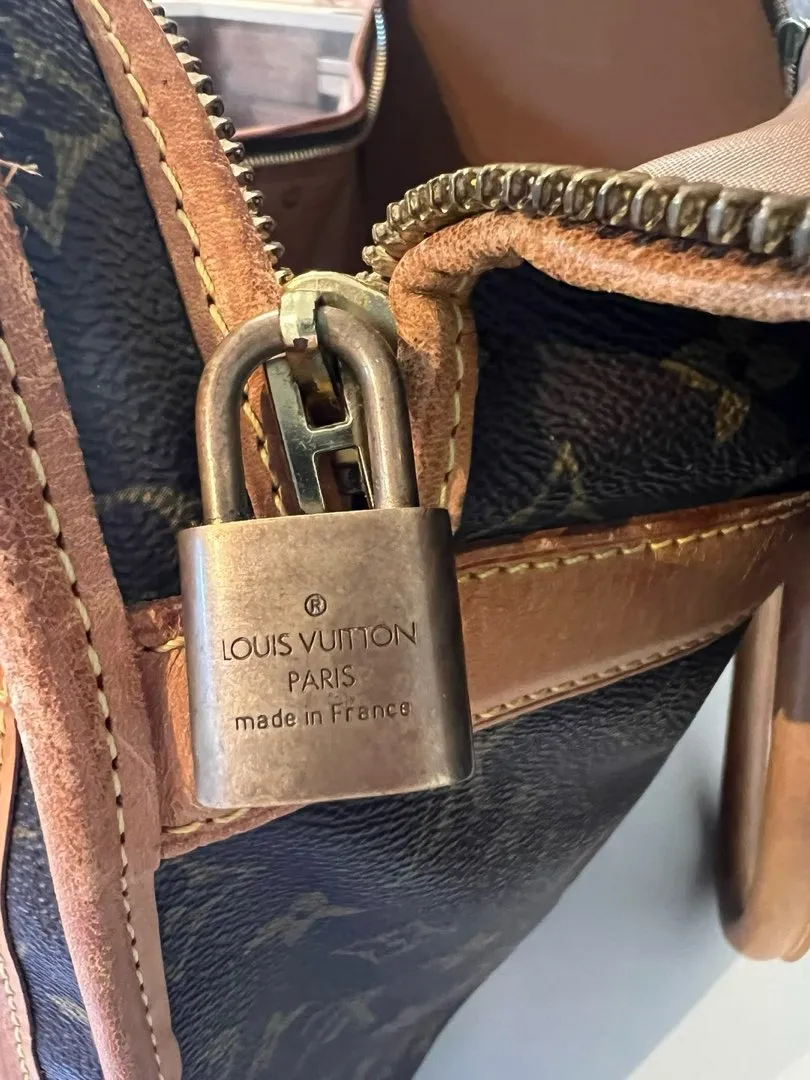 Louis Vuitton dogbag