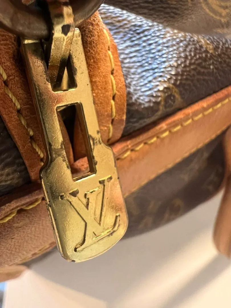 Louis Vuitton dogbag