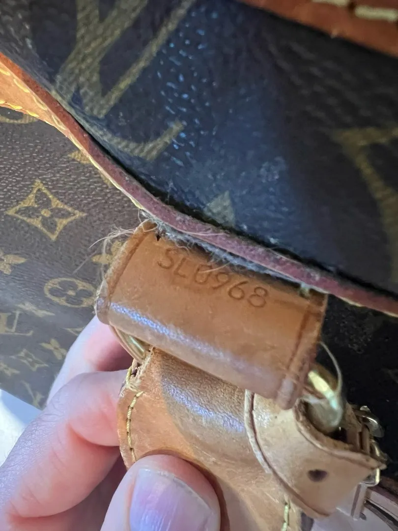 Louis Vuitton dogbag