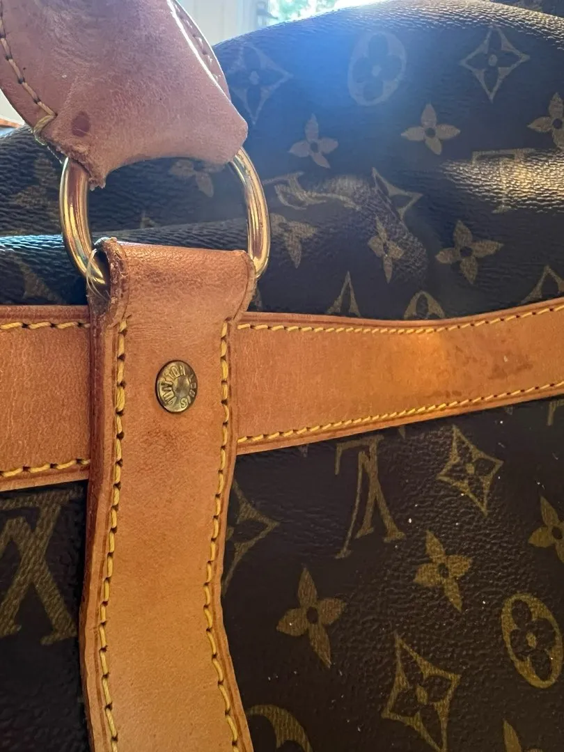 Louis Vuitton dogbag