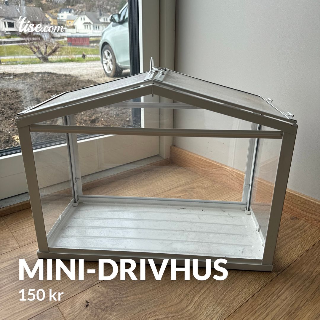 Mini-drivhus