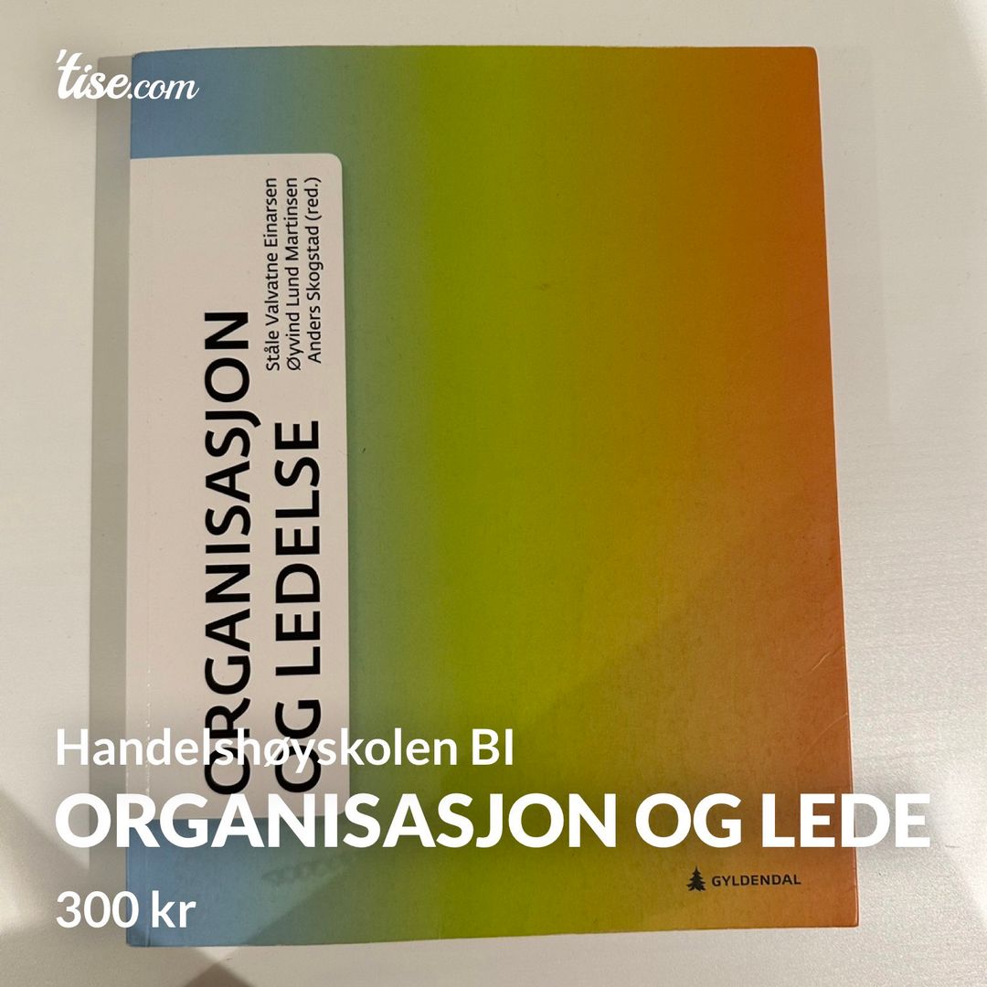 Organisasjon og lede