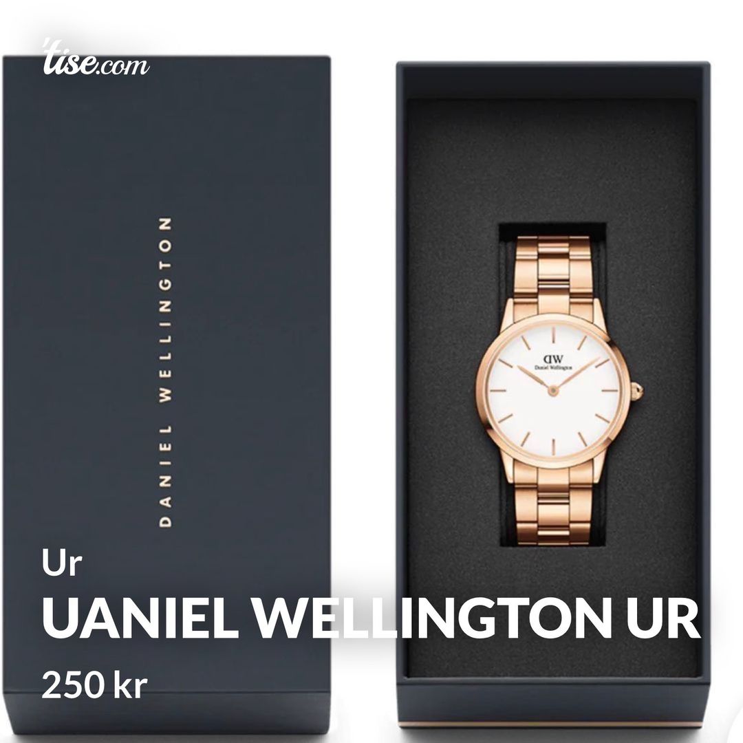 Uaniel wellington ur