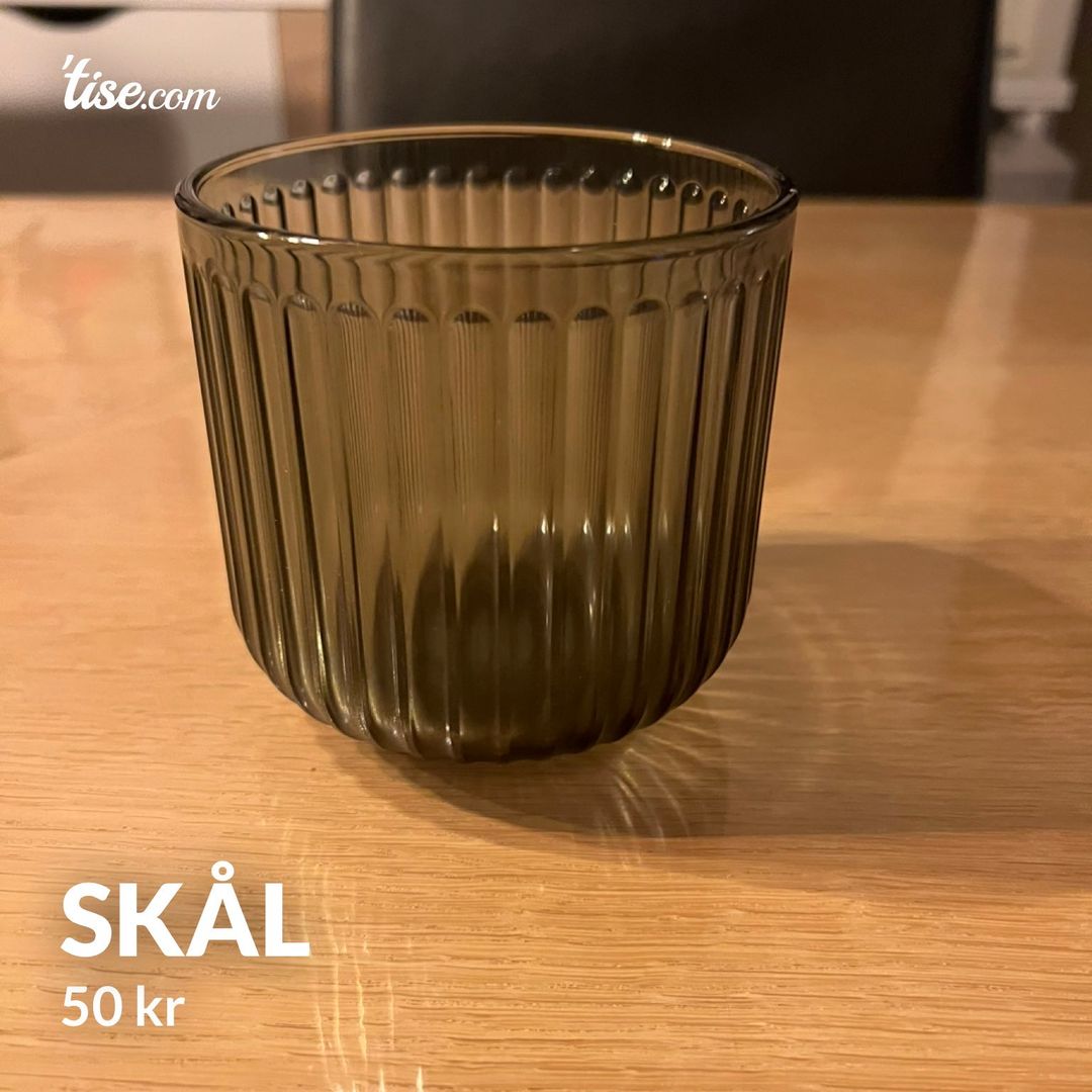 Skål