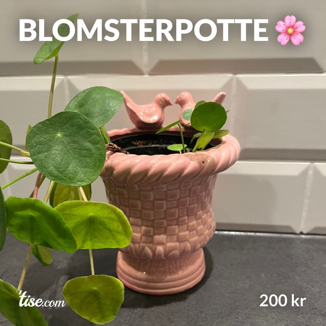 Blomsterpotte 🌸