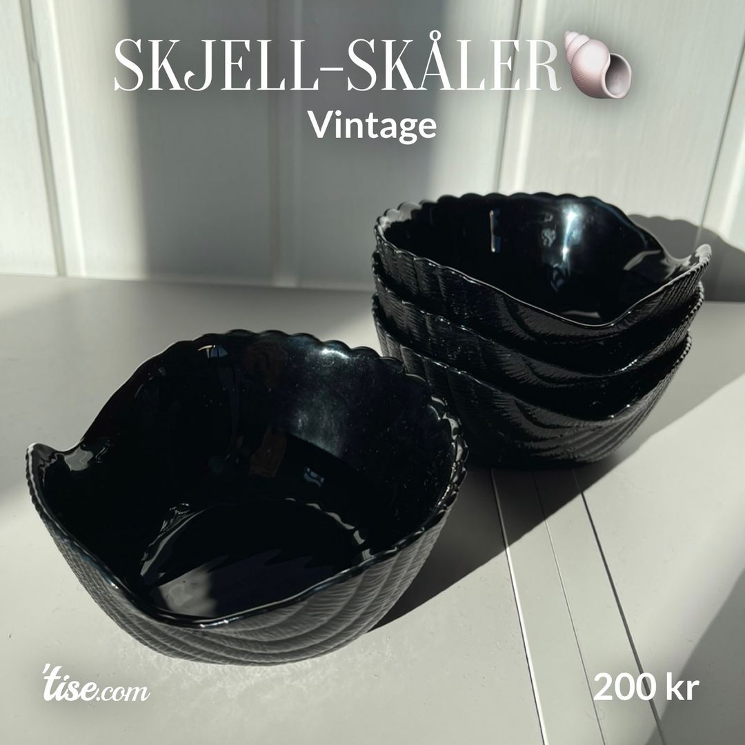 Skjell-skåler🐚