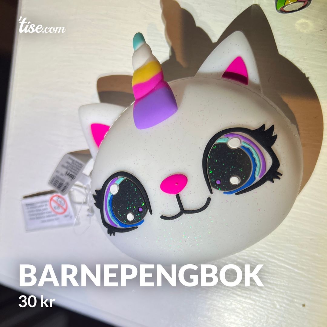 Barnepengbok