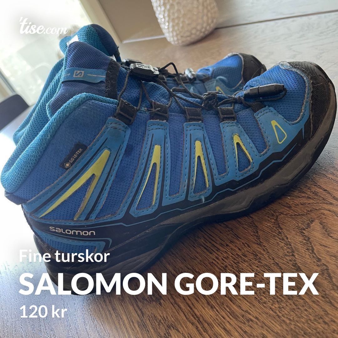 Salomon Gore-tex