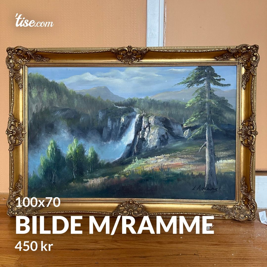 Bilde m/ramme