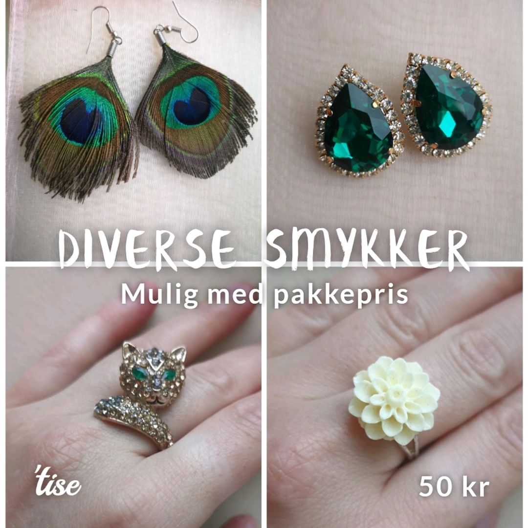 Diverse smykker