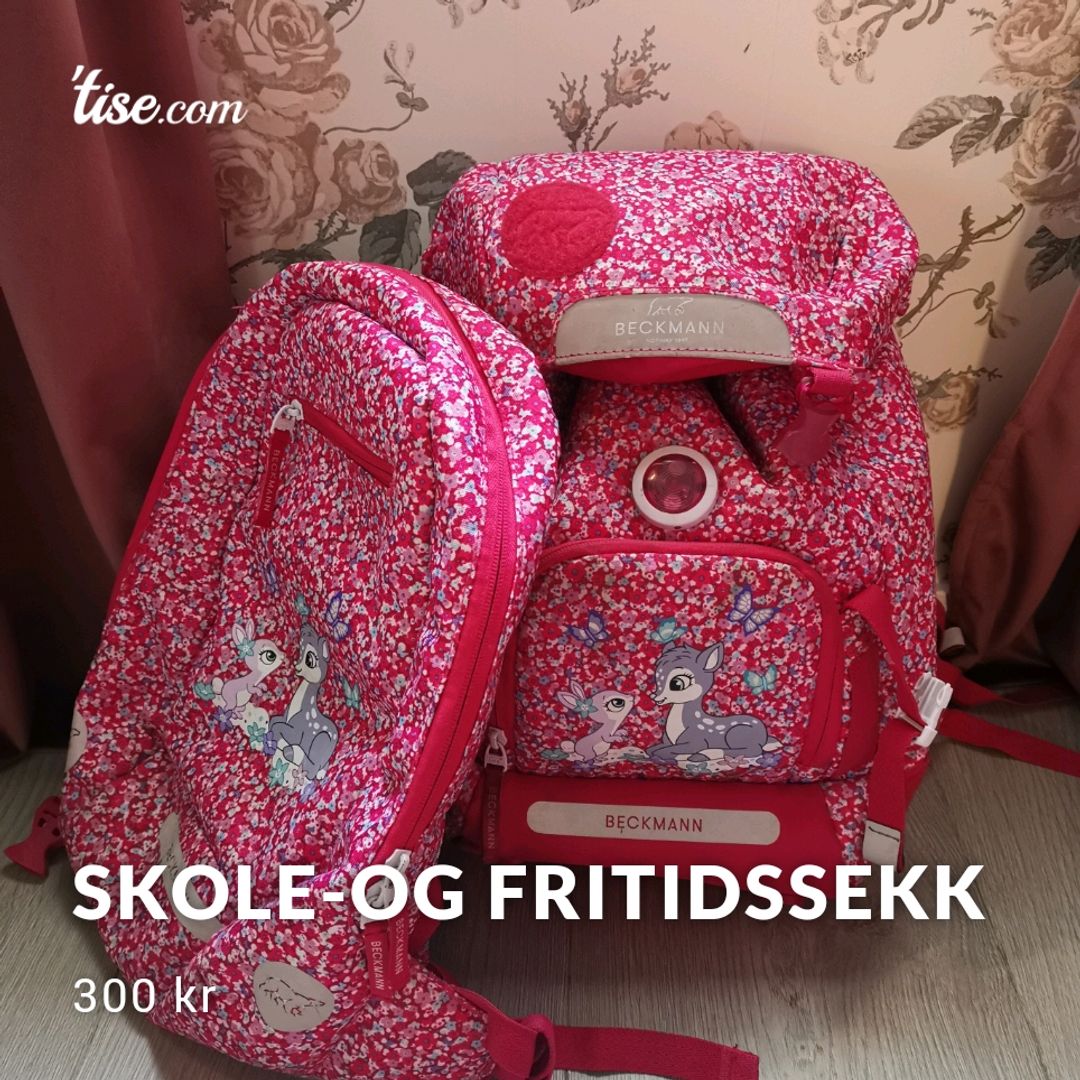 Skole-og fritidssekk