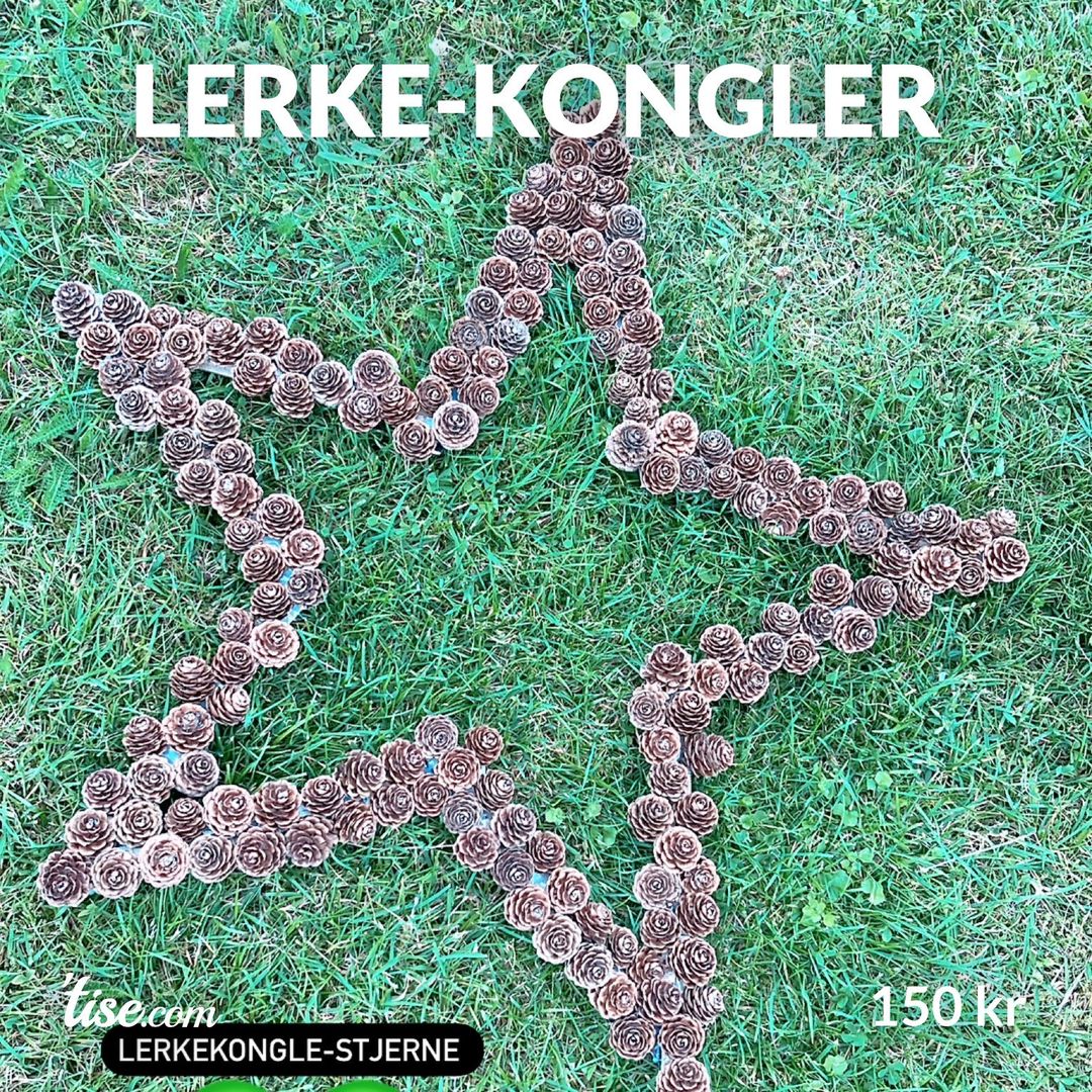 Lerke-kongler