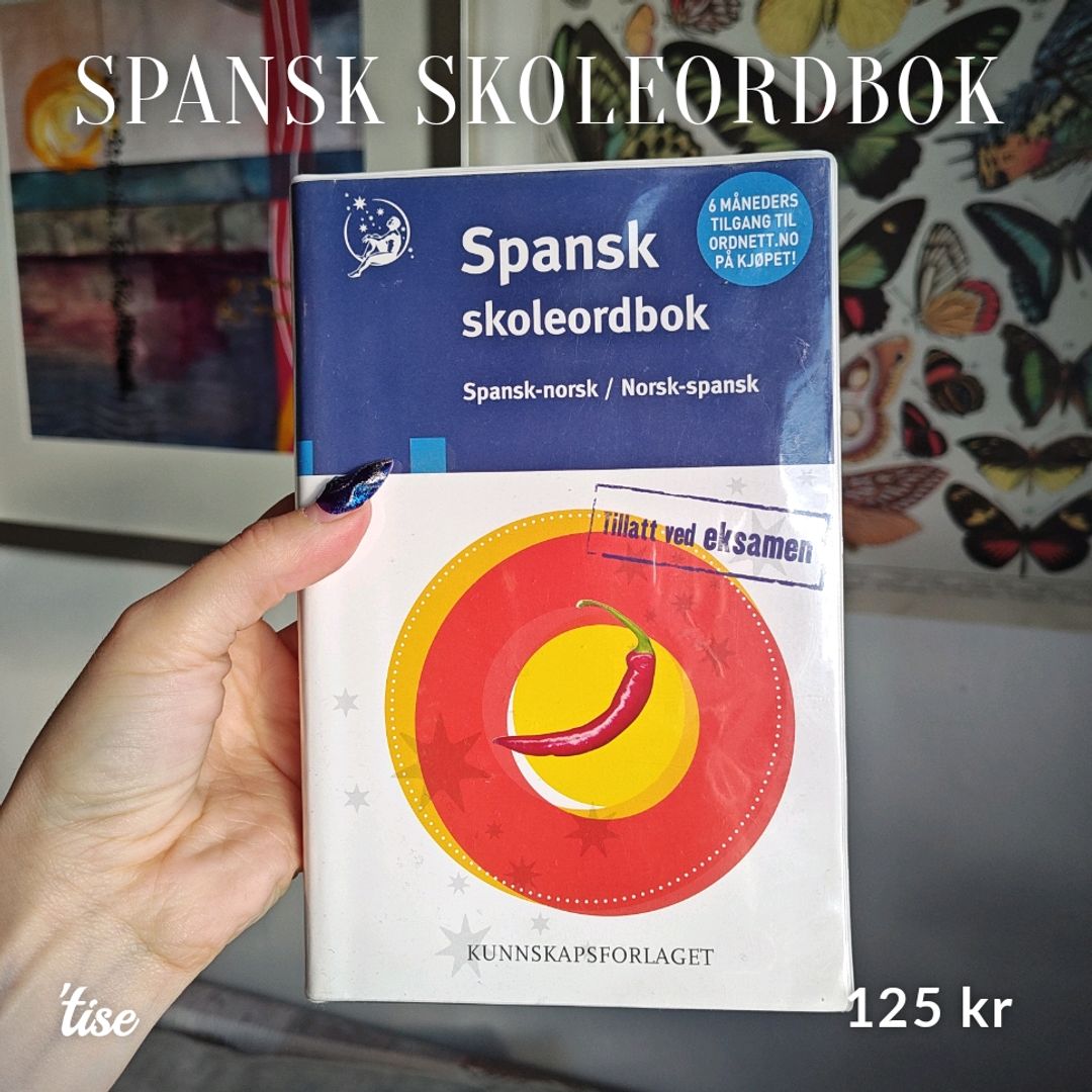 Spansk Skoleordbok