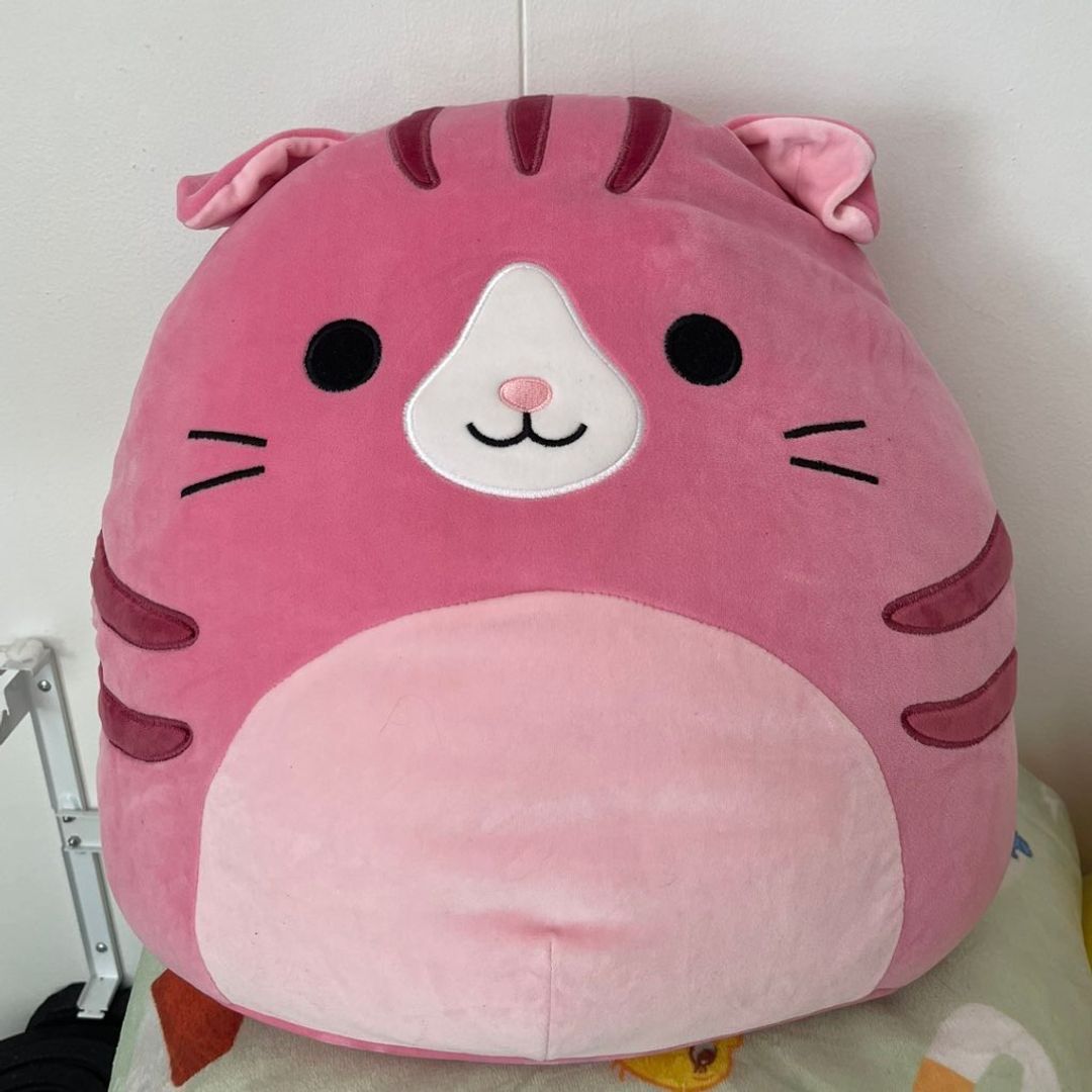 Squishmallows 40cm