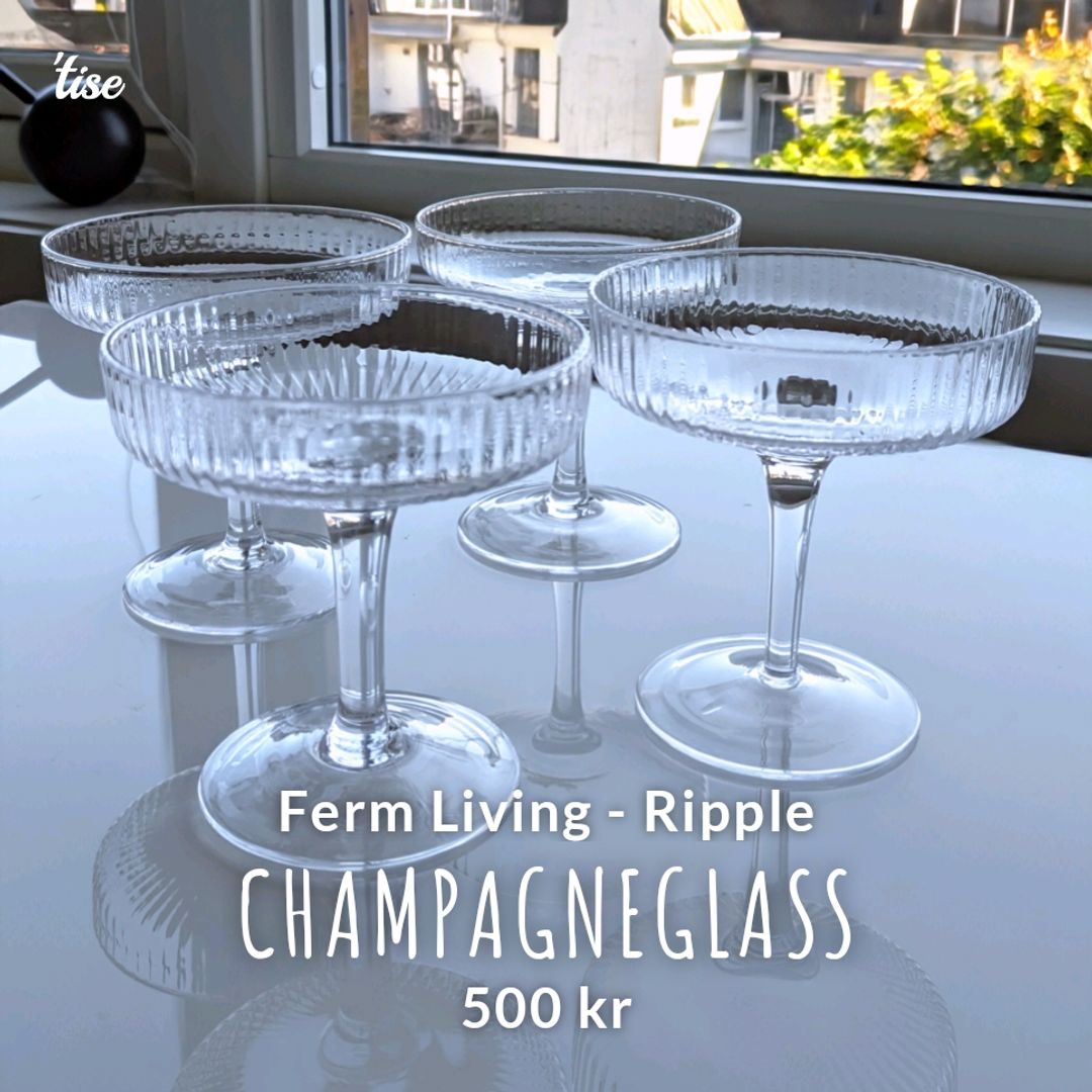 Champagneglass