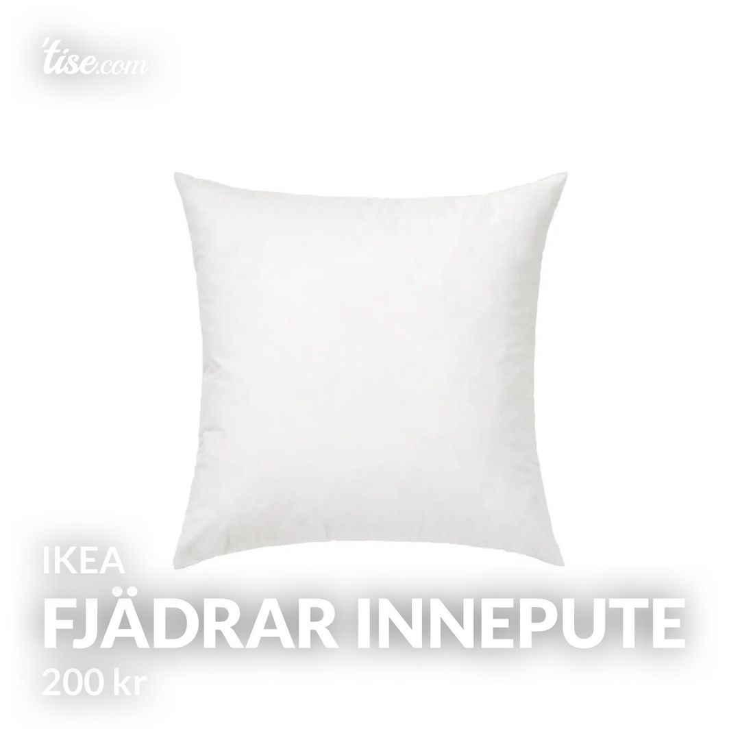 FJÄDRAR innepute