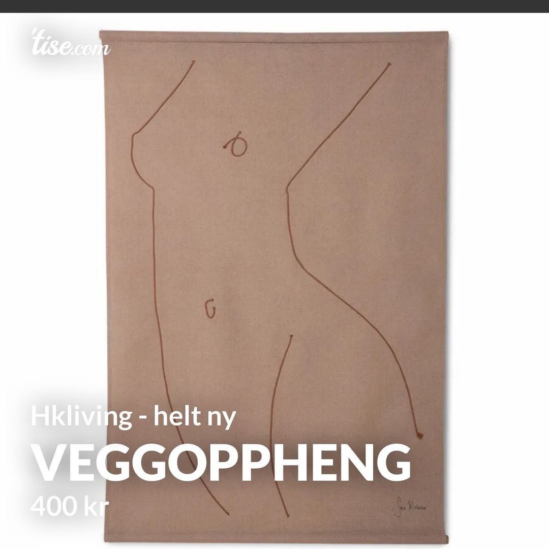 Veggoppheng