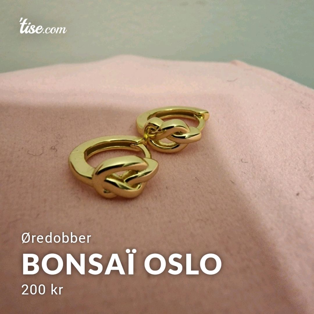 Bonsaï OSLO