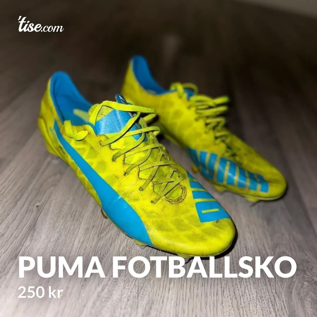 Puma fotballsko