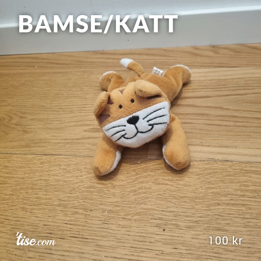 Bamse/Katt