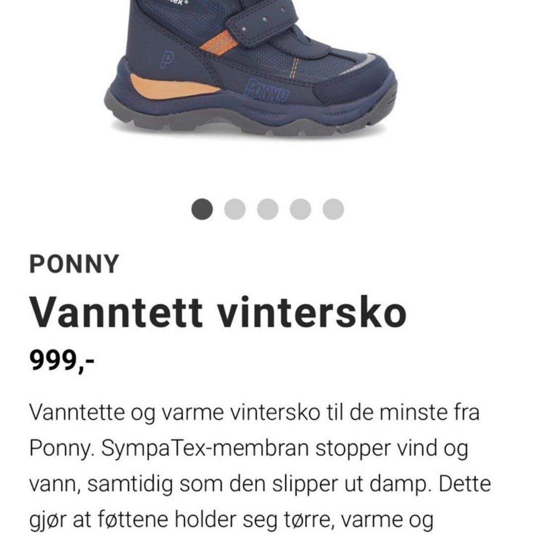 Ponny vintersko