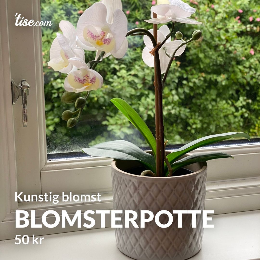 Blomsterpotte