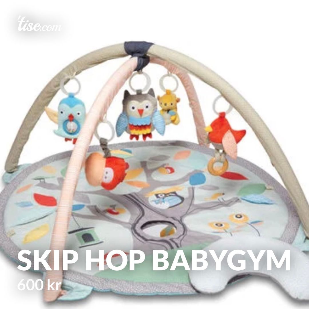 Skip hop babygym