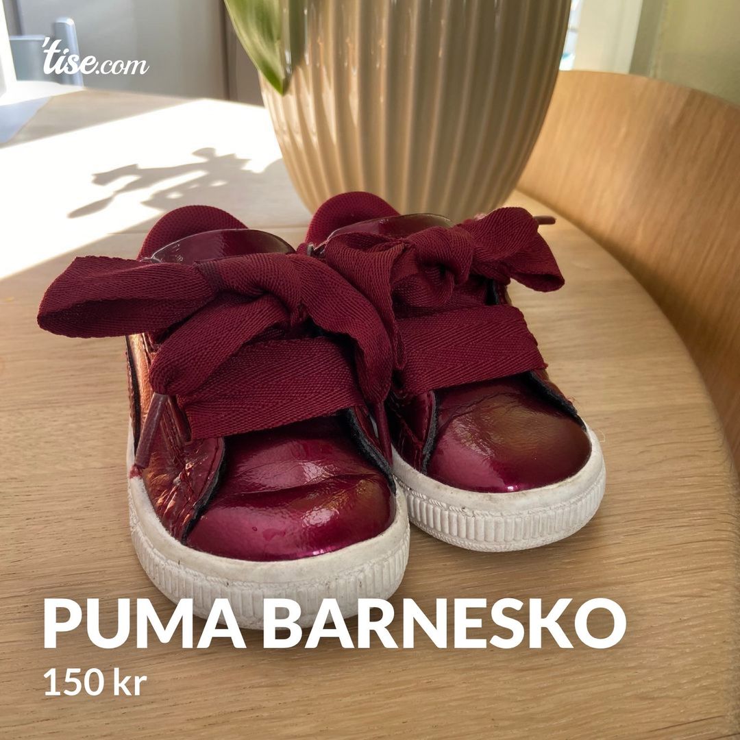 Puma barnesko