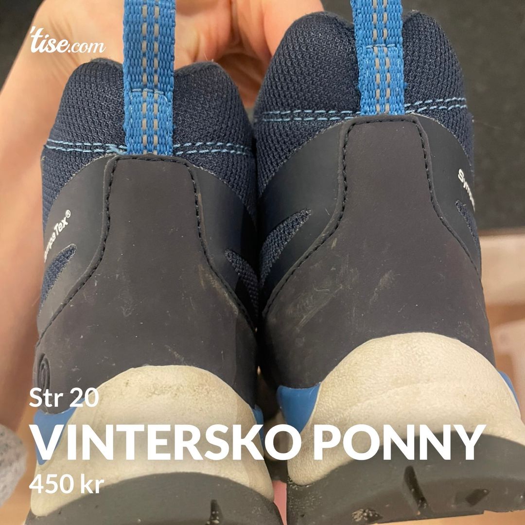 Vintersko ponny