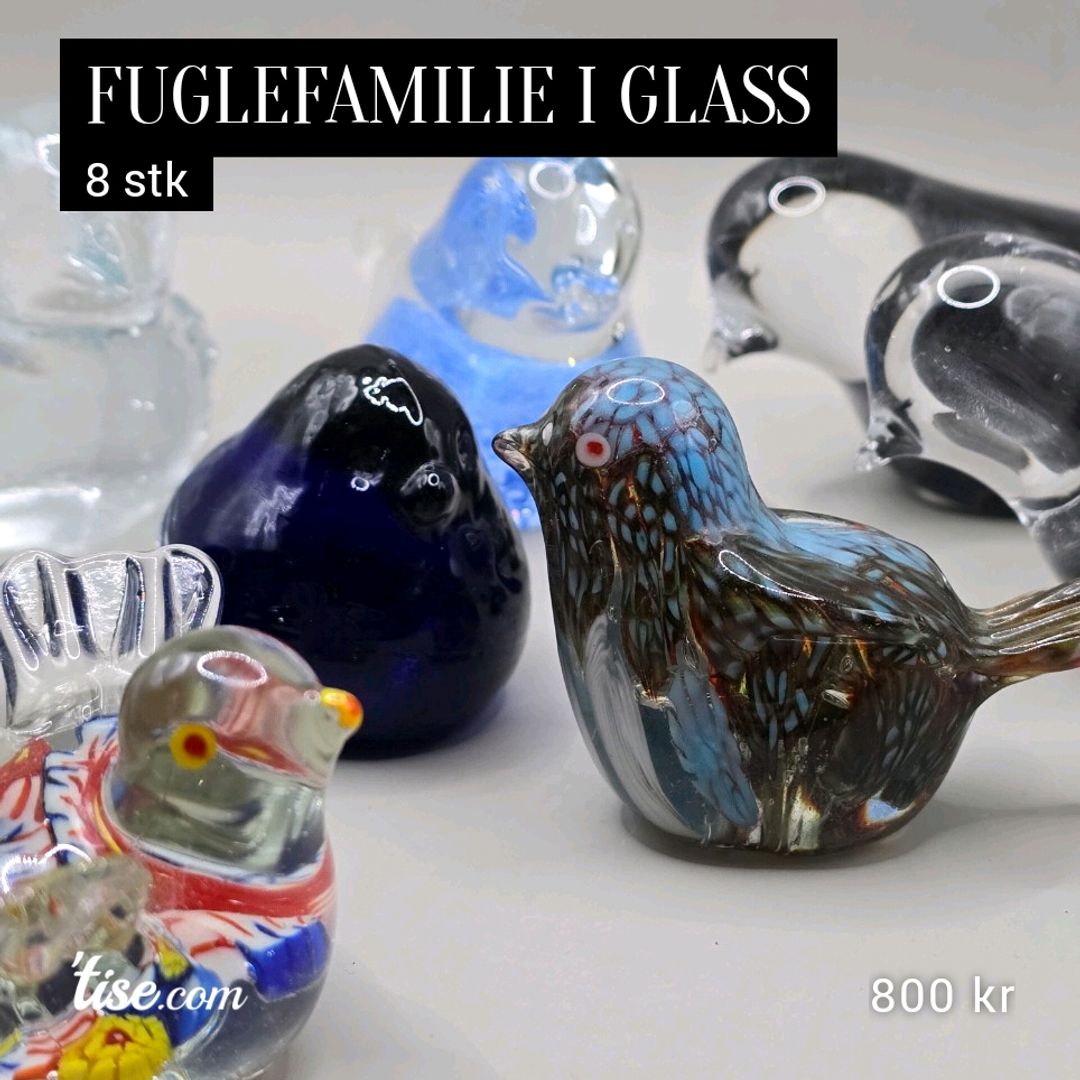 Fuglefamilie i glass