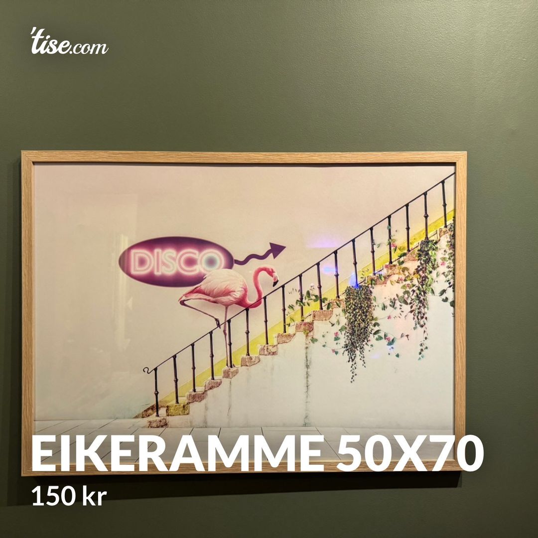 Eikeramme 50x70