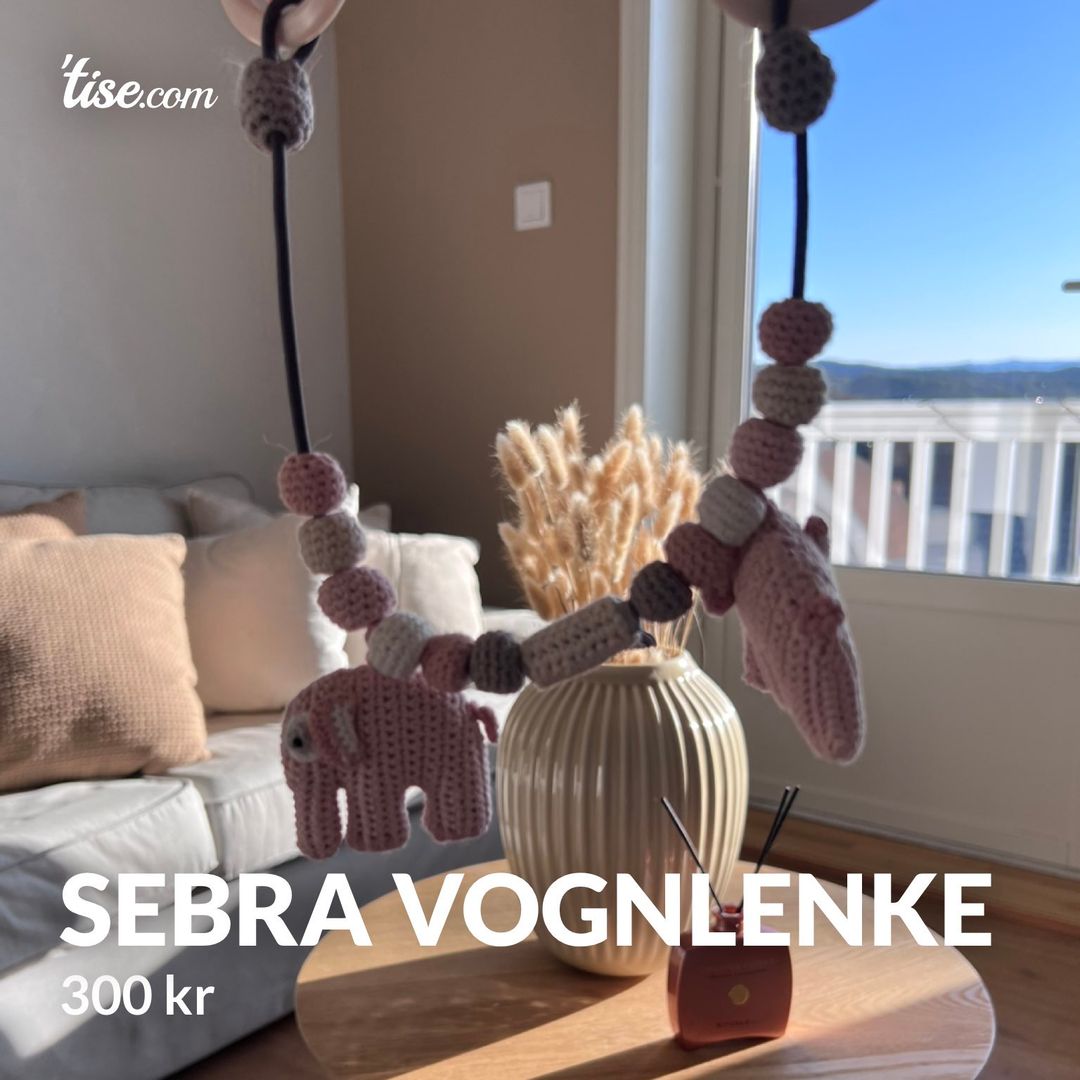 Sebra vognlenke