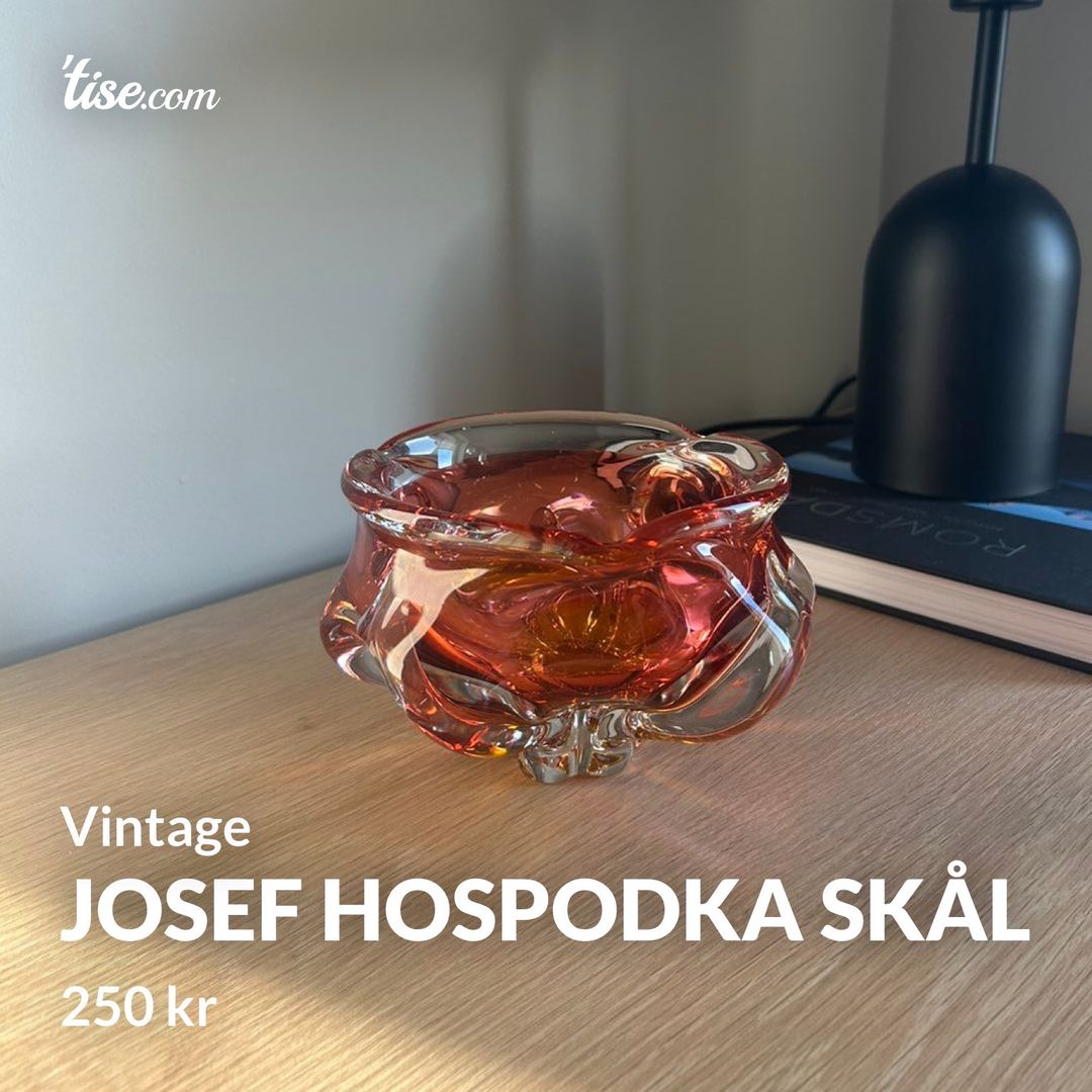 Josef Hospodka skål