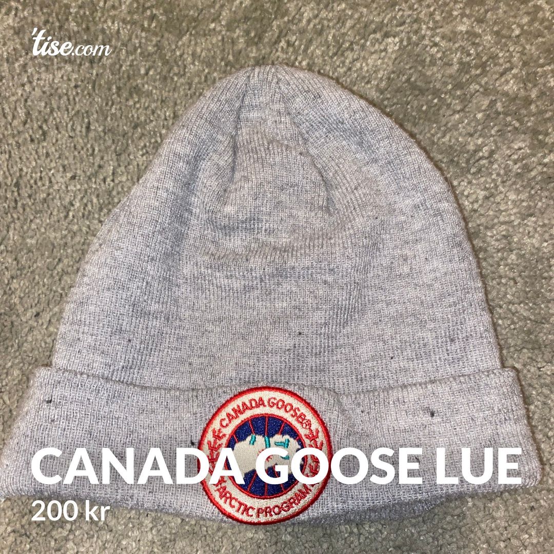 Canada goose lue