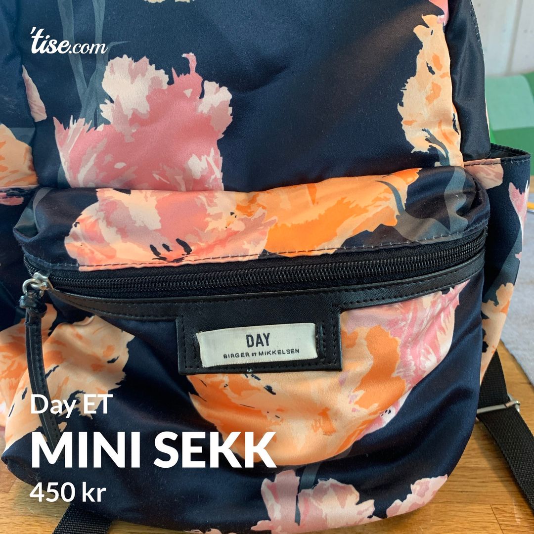 Mini sekk