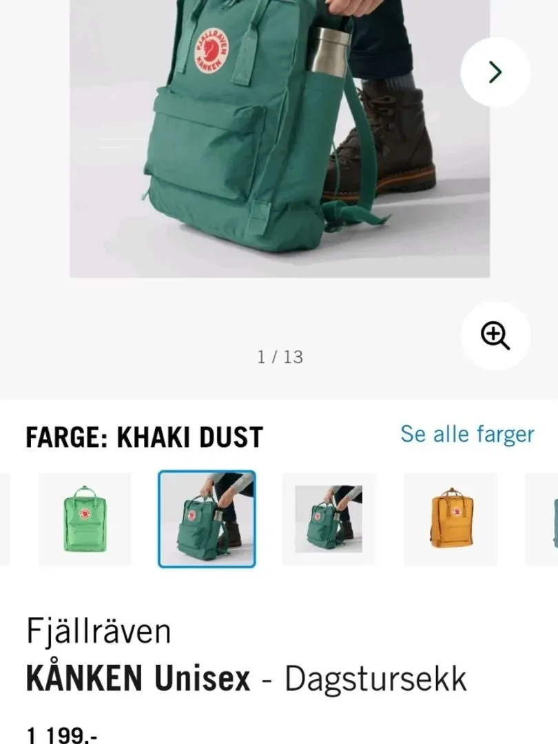 FJÄLL RÄVEN