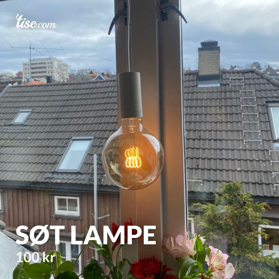 Søt lampe