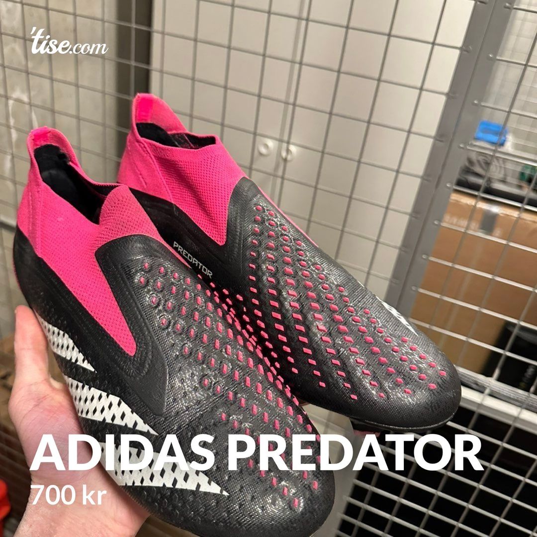 adidas predator