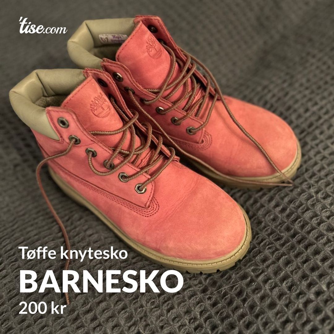 Barnesko