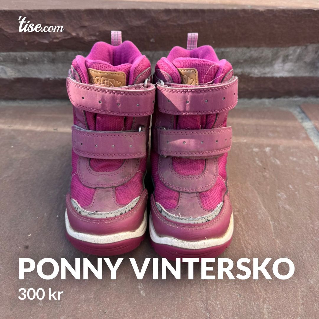 Ponny Vintersko