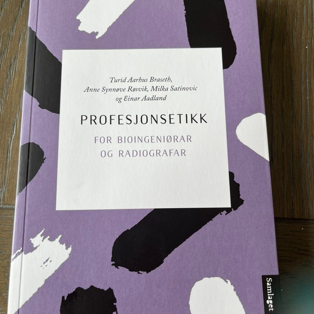 Profesjonsetikk